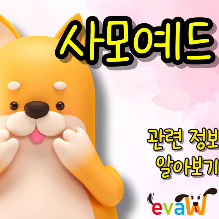  사모예드 기본정보부터 성격·분양 가격까지(입양, 특징, 믹스, 곰돌이컷)