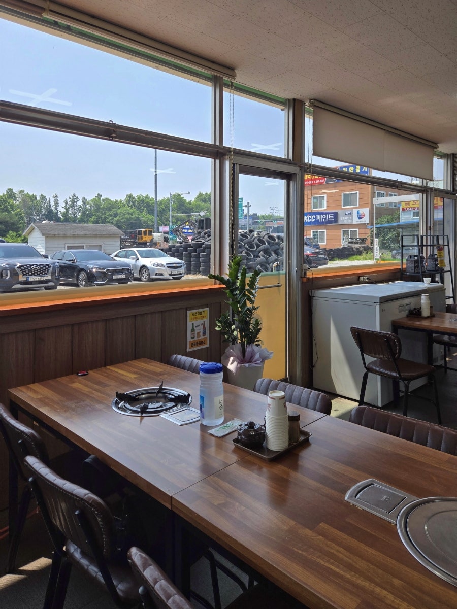 촌골흑염소 사진 2