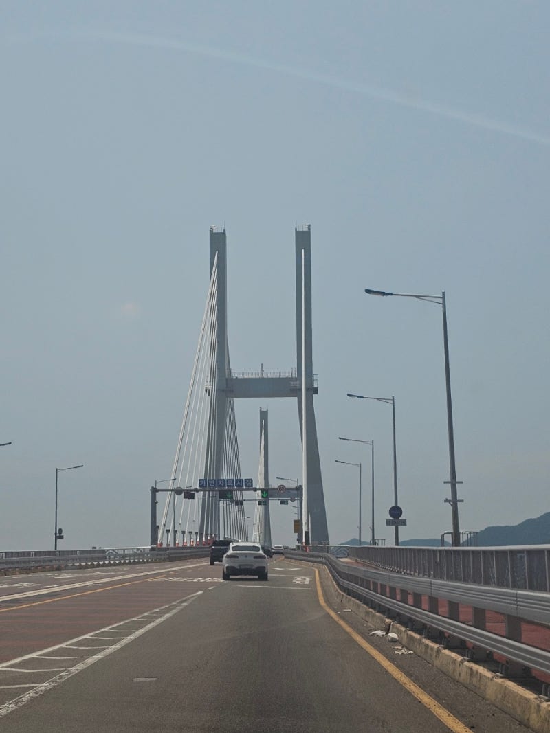 사진 6