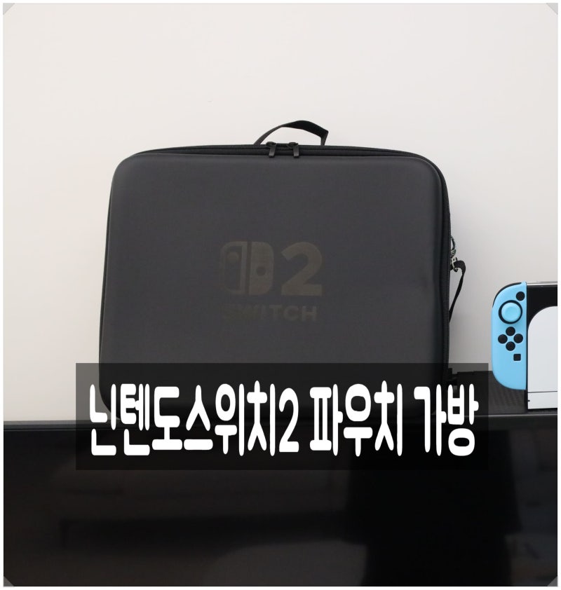 닌텐도스위치2 케이스 파우치 가방 종류 후기