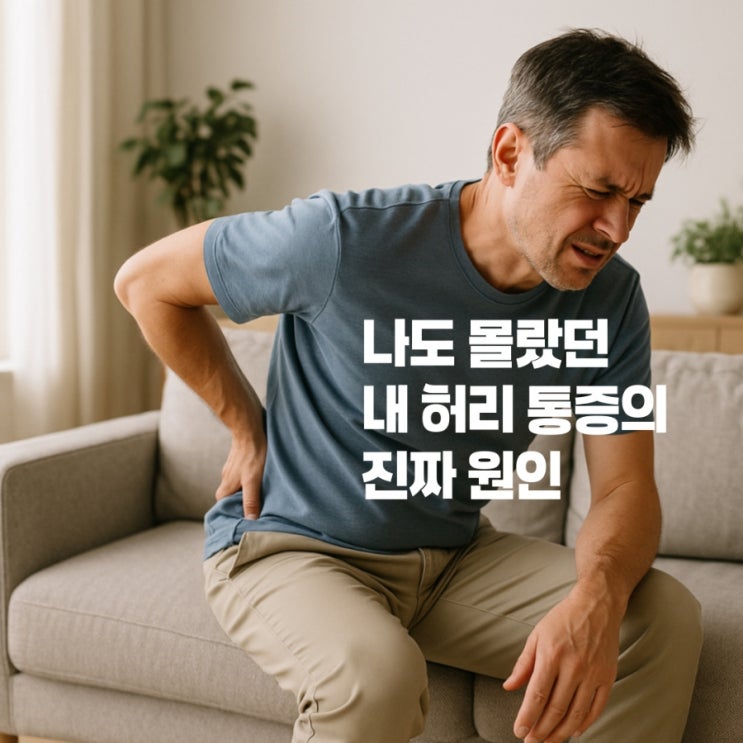  앉았다 일어날 때 찌릿? 나도 몰랐던 허리 통증의 원인