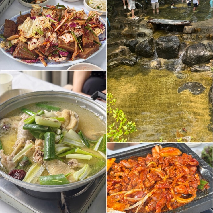  서울 근교 계곡 맛집 봉암식당 백숙 오리주물럭 안양유원지 맛집