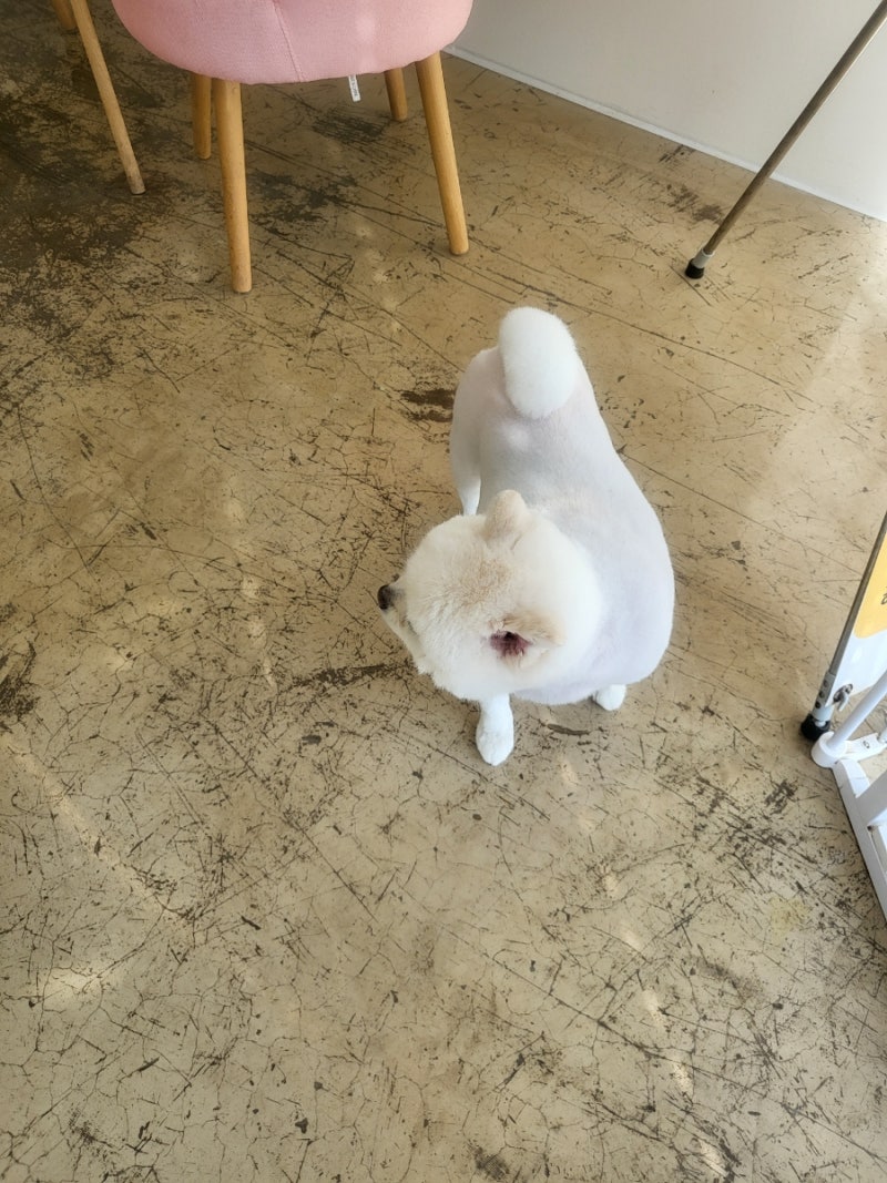사진 3