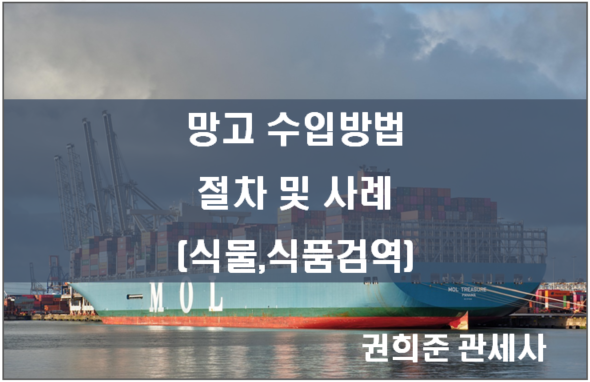  망고 수입 절차 및 사례(식물검역, 식품검역)