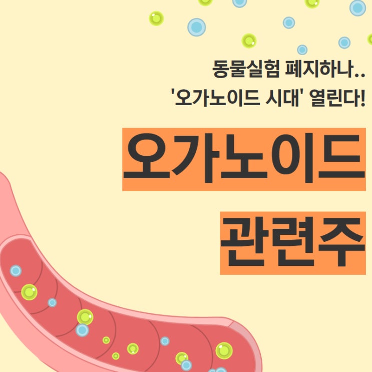  동물실험 폐지하나.. '오가노이드 시대' 열린다! - 오가노이드 관련주 (오가노이드사이언스 / 현대ADM / 현대바이오 / 일신바이오 / 티앤알바이오팹 / 강스템바이오텍)