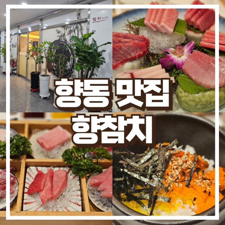  향동동 맛집 향참치 참치 실버 소개