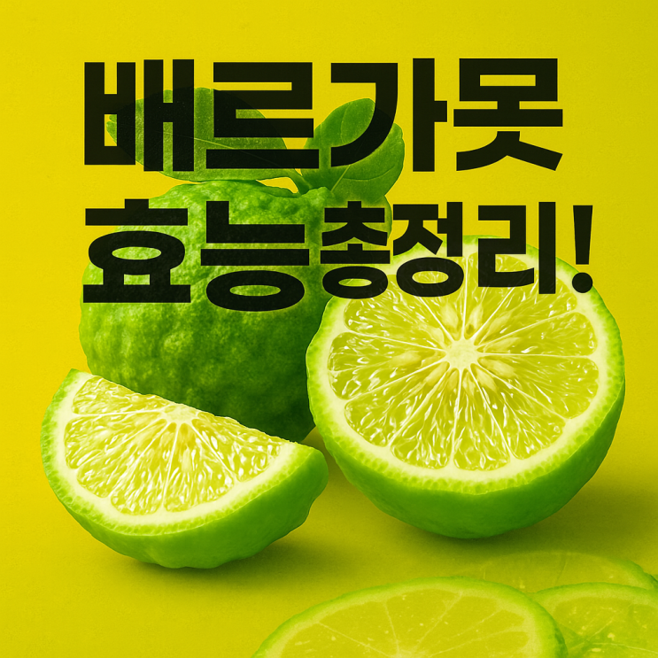  베르가못 효능 총정리! 스트레스 완화부터 다이어트까지