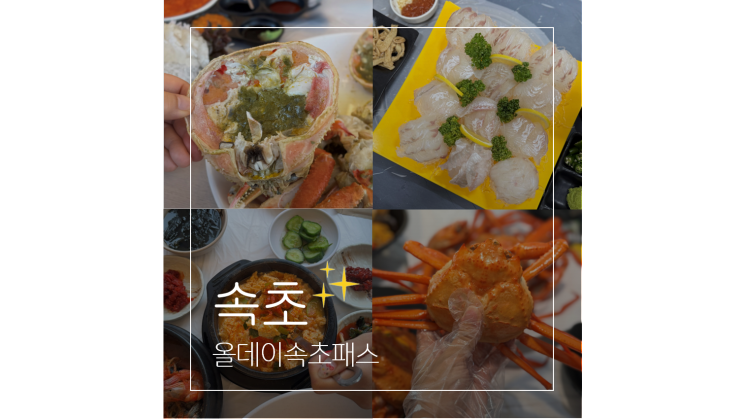  올데이 속초패스로 떠나는 강원도 속초 여행 먹거리 놀거리 볼거리 총정리