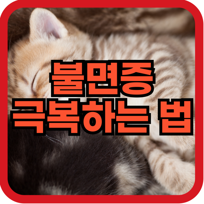 불면증 극복하는 법 전문가도 놀란 새로운 이론
