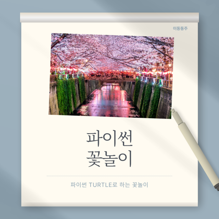  Python 파이썬 turtle 모듈로 도형 그리기 - 부제: turtle을 이용한 꽃놀이