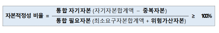 <b>금융복합기업집단</b>에 적용되는 주요 사항