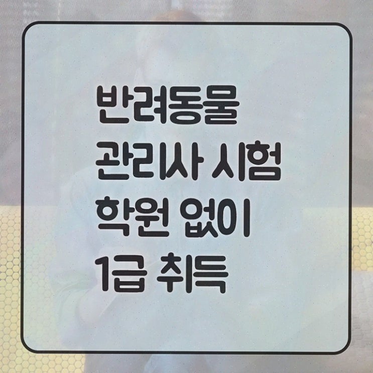  반려동물종합관리사 , 반려동물관리사 자격증 응시자격 없이 취득한 과정