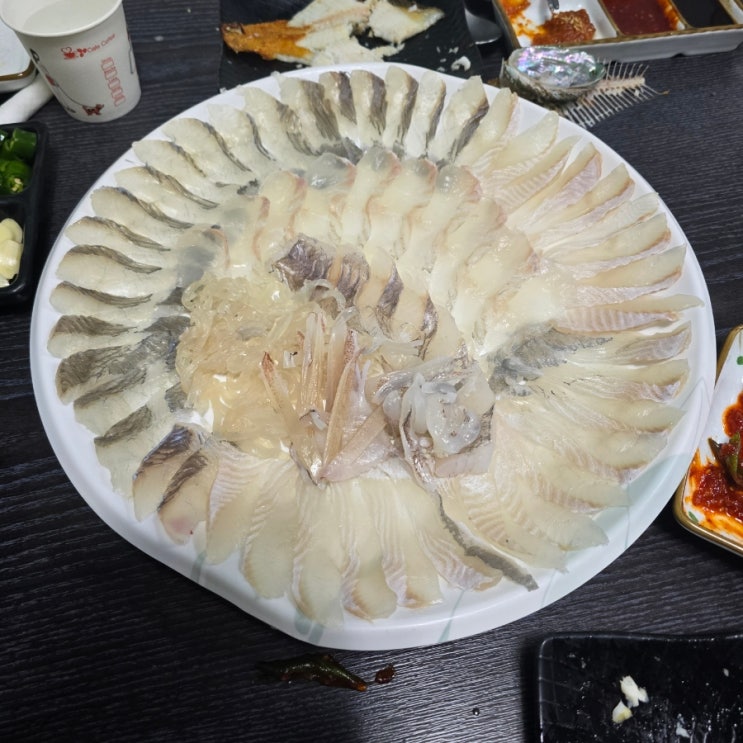  포항 장성동 맛집 『 숙이네수산 』 모듬회 식사 내돈내산 솔직후기