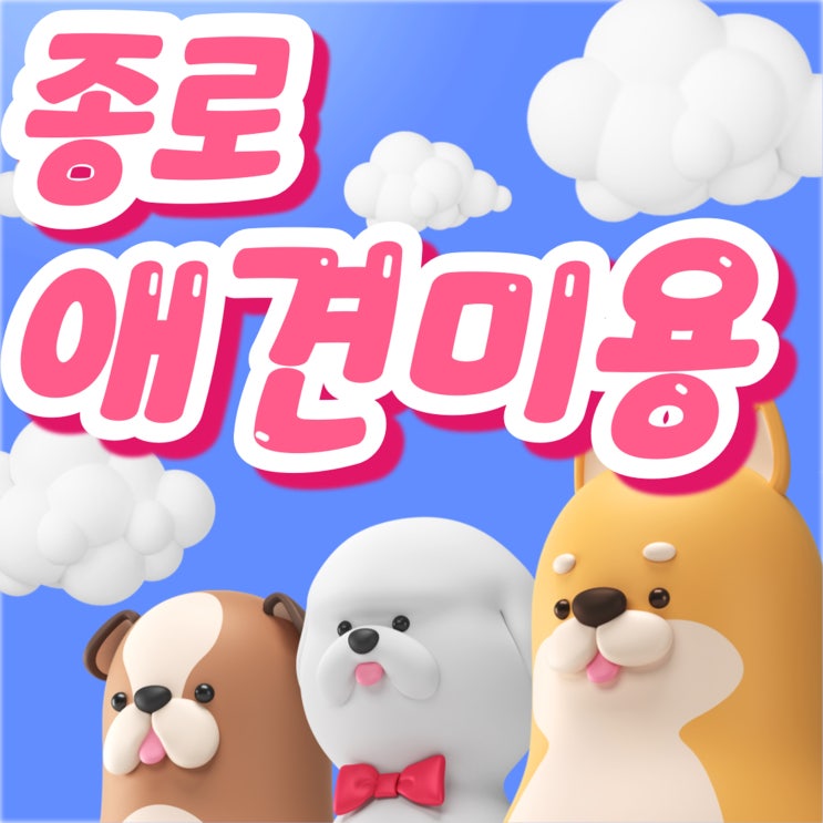  종로애견미용학원 국비보다 저렴하게 펫뷰티션을 향한 시작