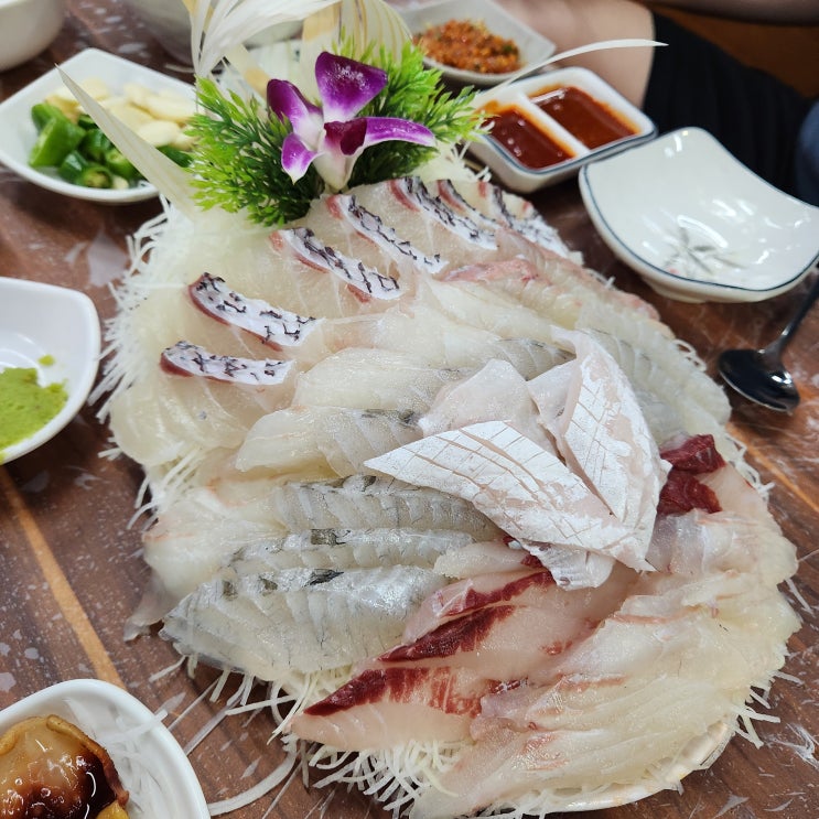  가락몰 회센터 푸짐하게 즐길 수 있는 가락시장 맛집 '고흥상회'