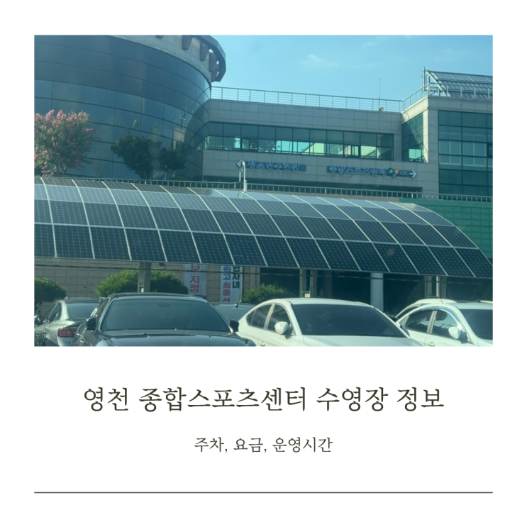 영천 종합스포츠센터 50m 레인 수영장 자유수영 운영시간 금액 대구 50m 레인 수영장