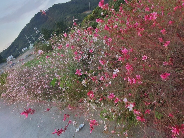  [굿타임리조트] 여수리조트에서 즐기는 완벽한 바베큐 파티