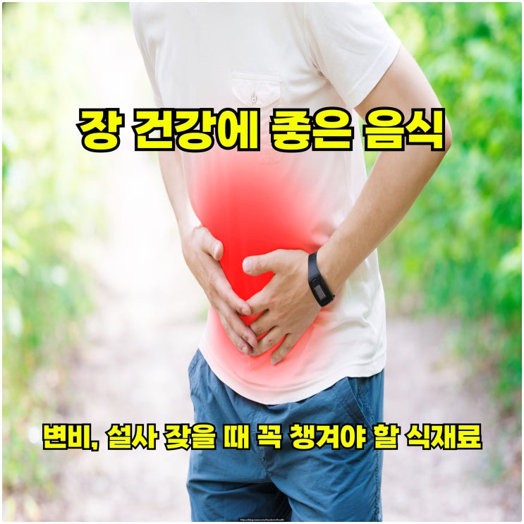  장 건강에 좋은 음식 – 변비, 설사 잦을 때 꼭 챙겨야 할 식재료