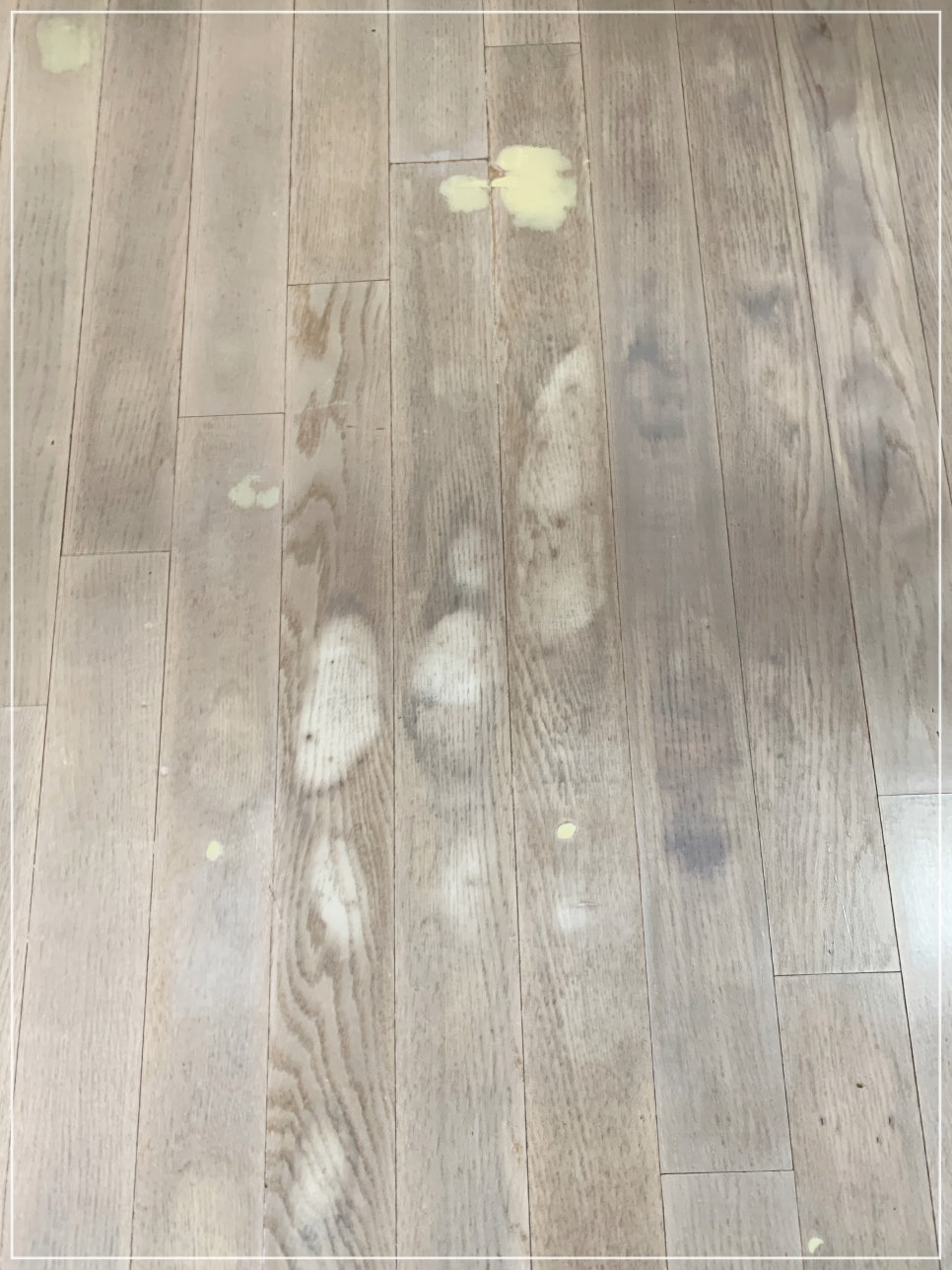 강화마루 들뜸 벌어짐 시트지 보수 비용 및 방법 (수원)