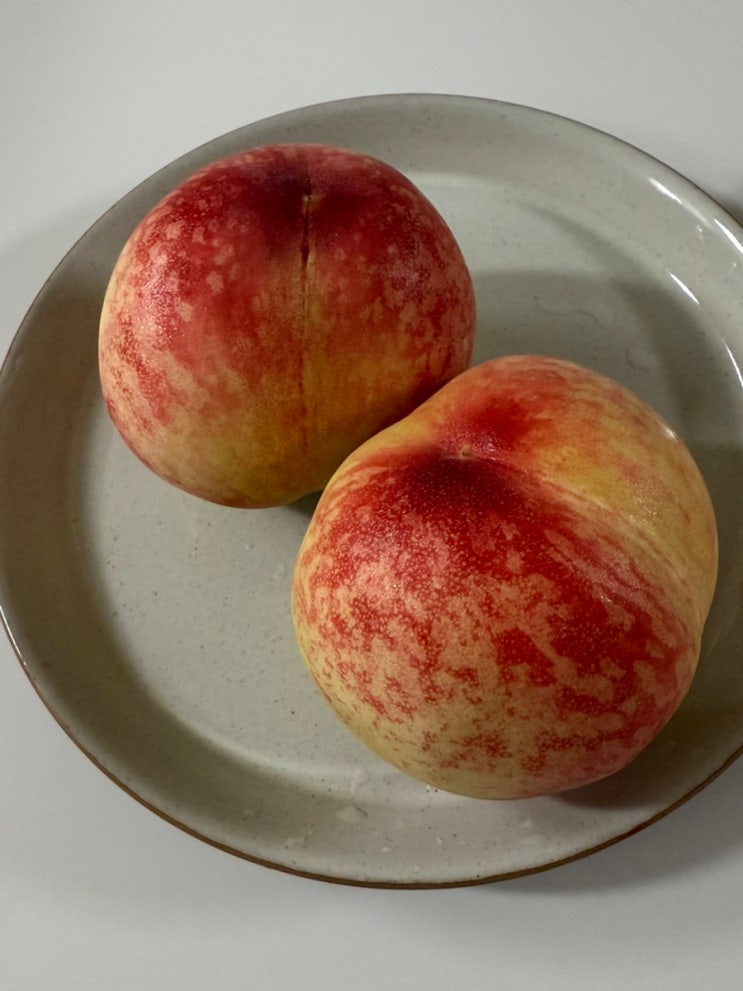  감곡 햇사레 복숭아 맛집 모이세농원 케이원!