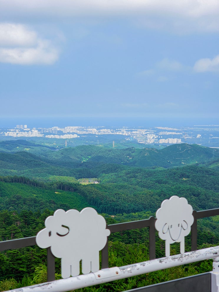  영동고속도로 강릉방향 드라이브, 대관령 전망대 졸음쉼터와 휴게소(식당 공사 중)