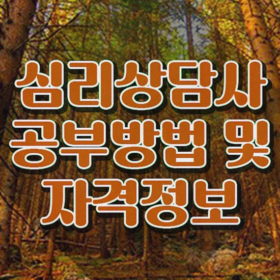  영어심리상담 , 심리상담사 시험준비