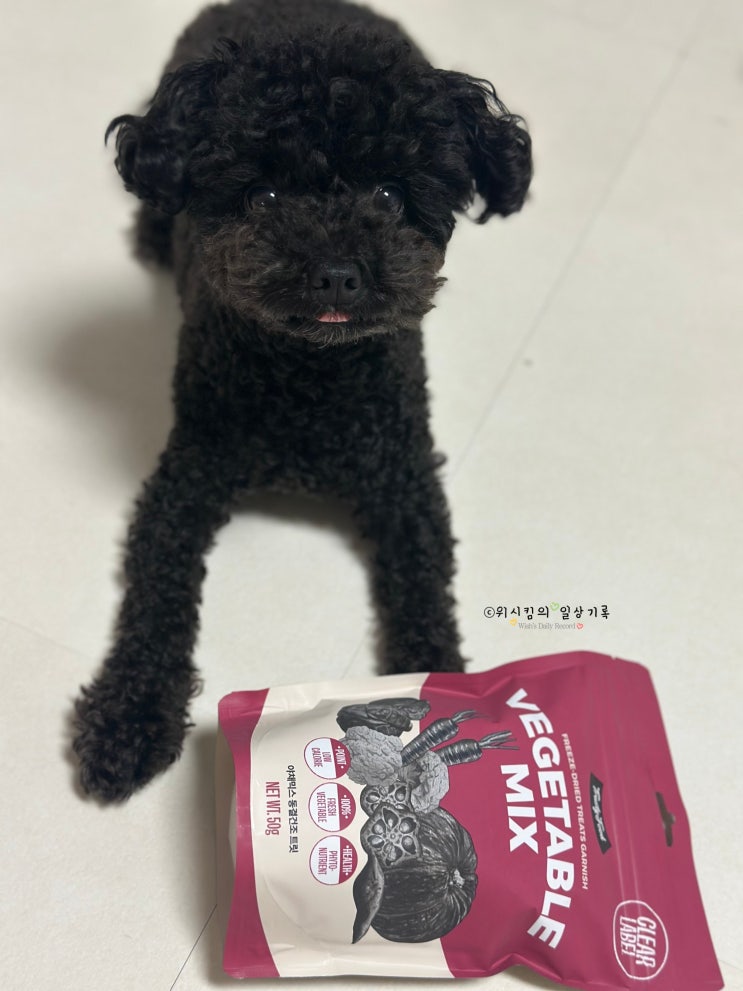  강아지 동결건조 개호강 간식 찾는다면 트러스티푸드