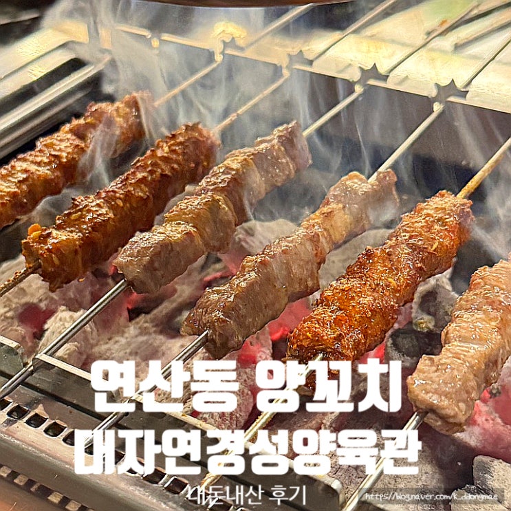  연산동 양꼬치 맛집 대자연경성양육관 내돈내산 솔직후기