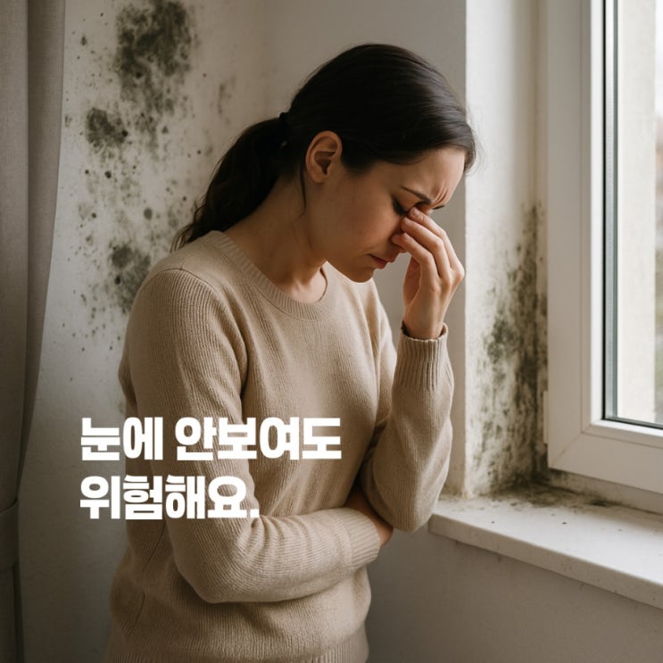  질병관리청도 경고한 '습기 많은 집'의 건강 리스크