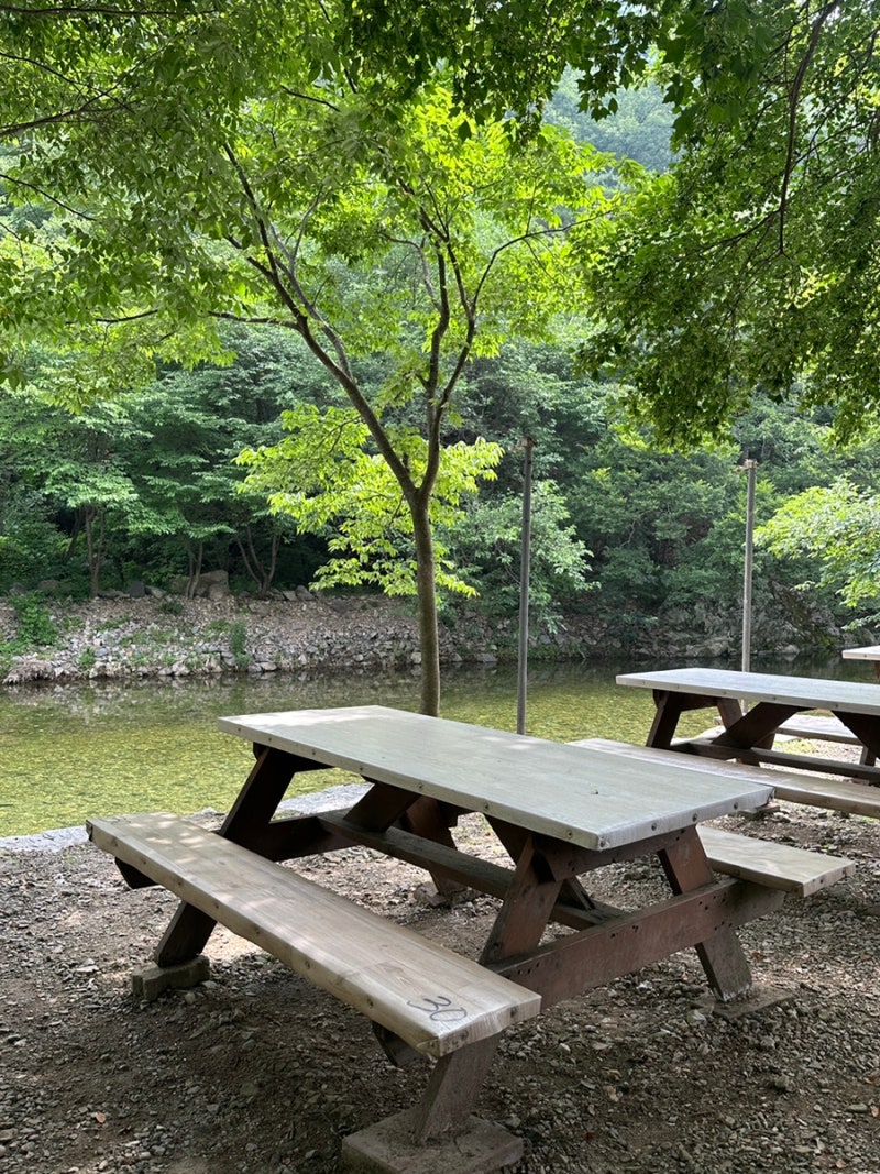 전주근교 계곡, 물놀이 하기 너무 좋았던 완주 동상면 산여울가든(ft.평상) : 네이버 블로그