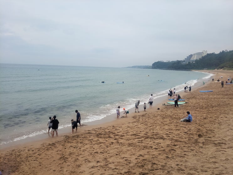 [제주 서귀포] 온 가족 제주여행 - 중문색달해수욕장, 네가지 색깔 가는모래로 이루어진 해변