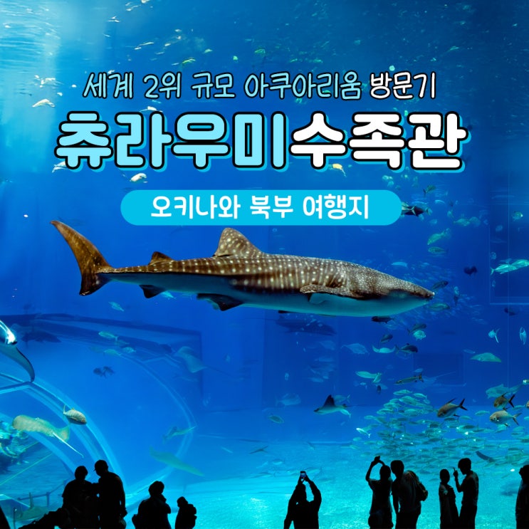  오키나와 츄라우미 수족관 예약부터 주차, 관람 꿀팁까지!