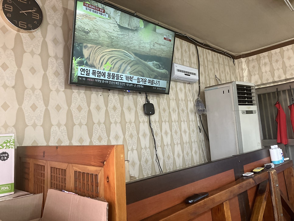 소림성 사진 5