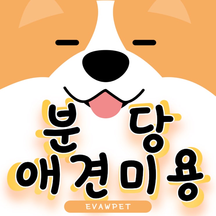  분당애견미용학원 수익성 높은 전문가가 되고 싶다면?