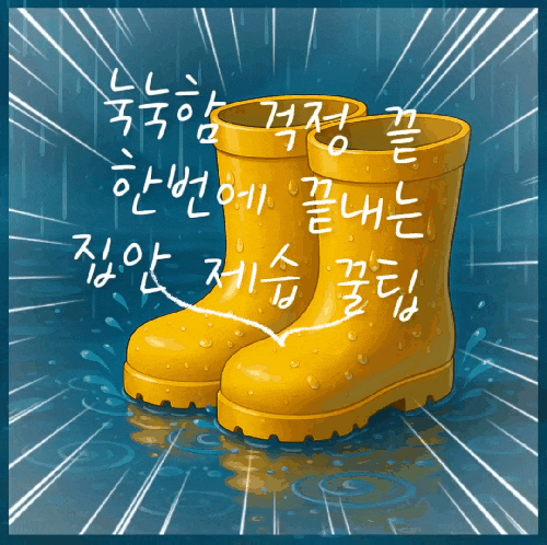  장마철 눅눅함 걱정 끝! 한 번에 끝내는 집안 제습 꿀팁 총정리