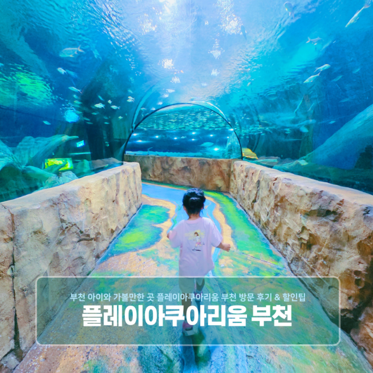  부천 아이와 가볼 만한 곳  플레이아쿠아리움 부천 방문 후기 & 할인 팁