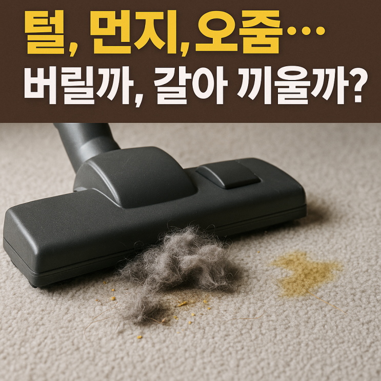  러그 고를 때 주의할 점 5가지 아이, 반려동물 있다면 필독