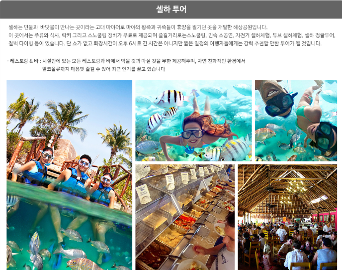  팜투어 칸쿤 신혼여행 준비 2) 칸쿤 액티비티 셀하 사전예약하기