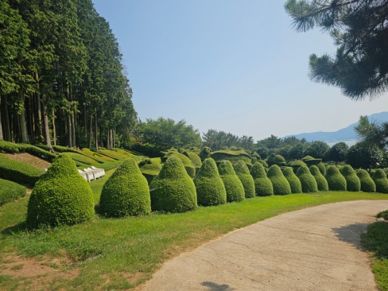 사진 5