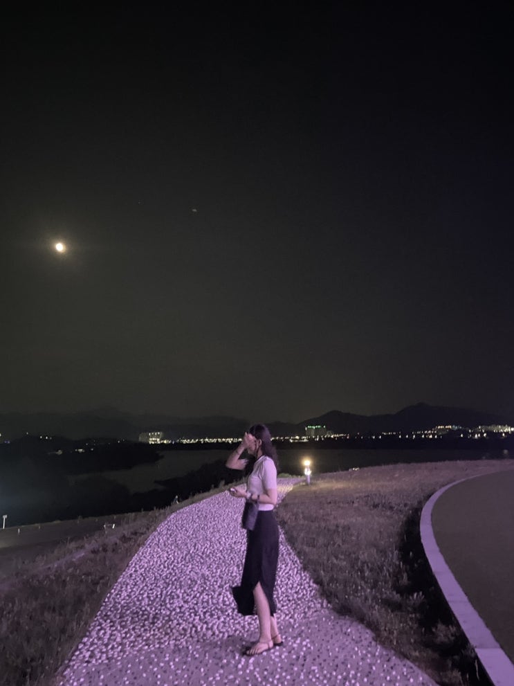  일상, 이번 주 너무 길어 ㅠ