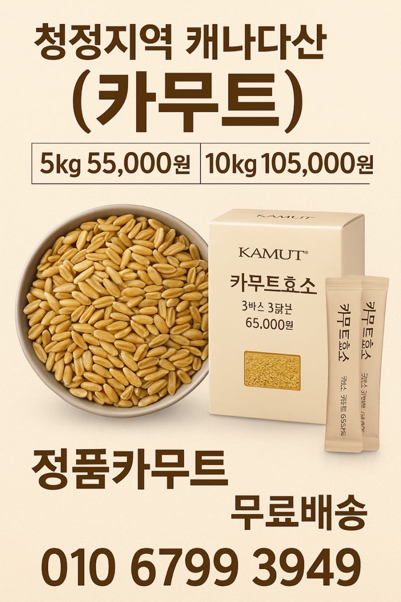고대미의 힘! 청정 캐나다산 정품 카무트 & 카무트효소 파는곳 효능과 먹는법