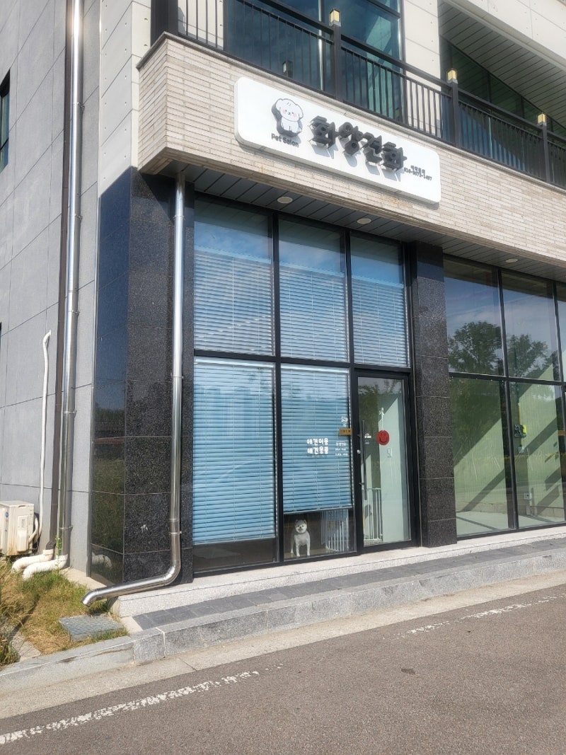 사진 2