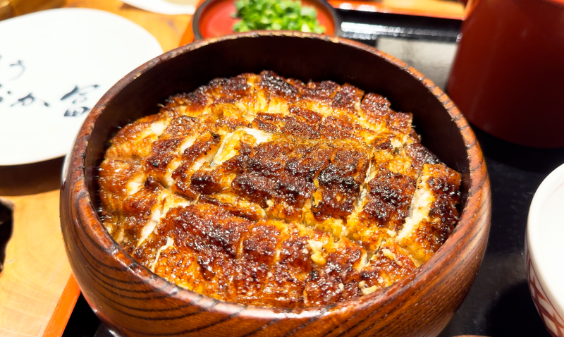 Unau Okafuji: unagi-don vs hitsumabushi done right, Nagoya