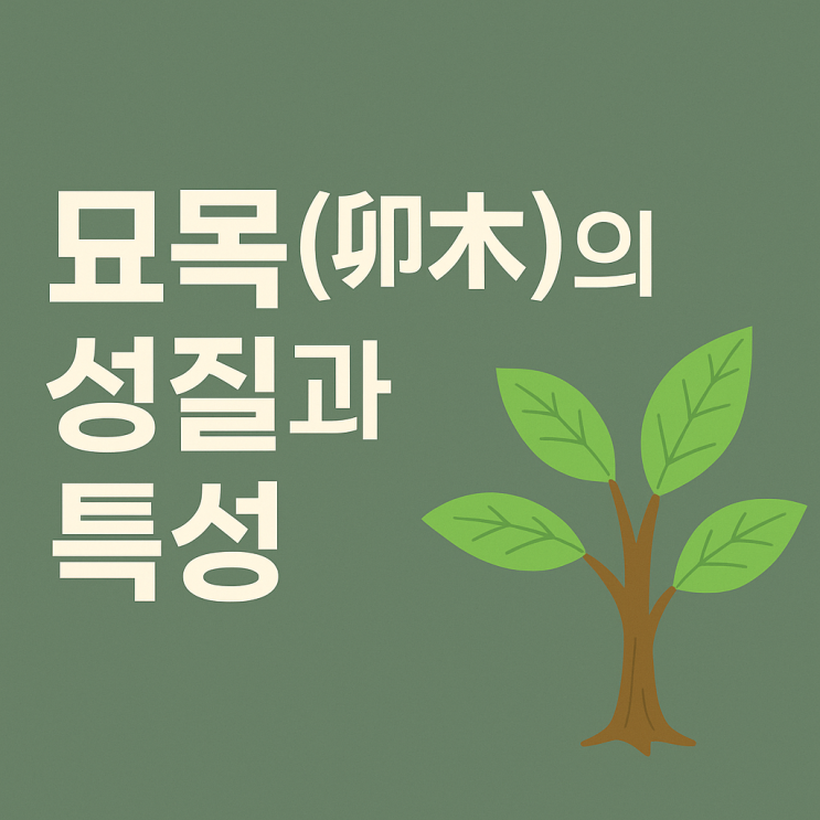  묘목(卯木)에 대한 해석