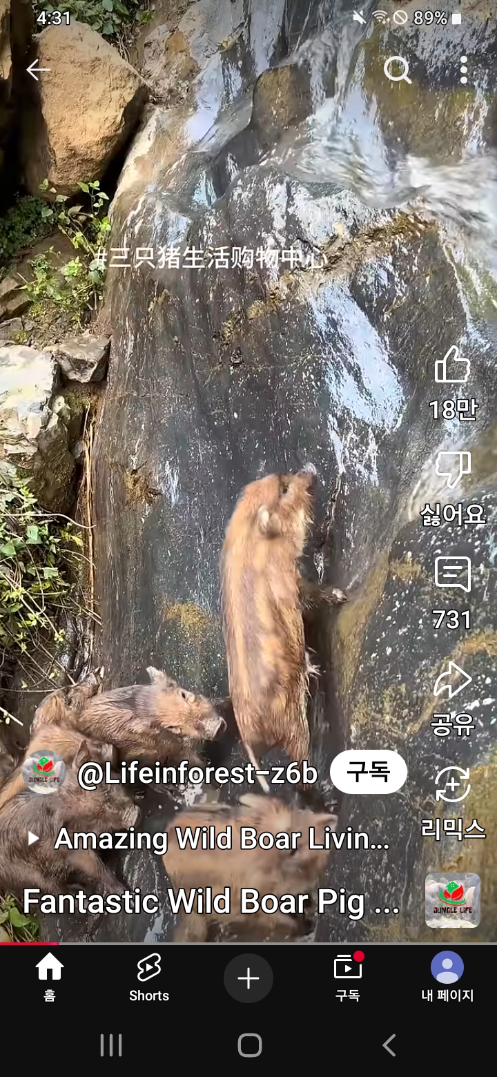 간다ㅡ의리 <b>성범 선빈복귀</b>ㅡ이스라엘 이수역이 활활탄다... 