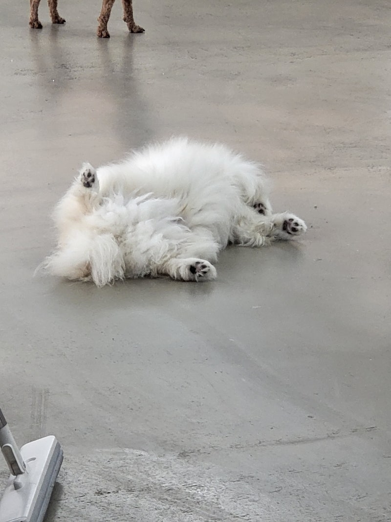 사진 9