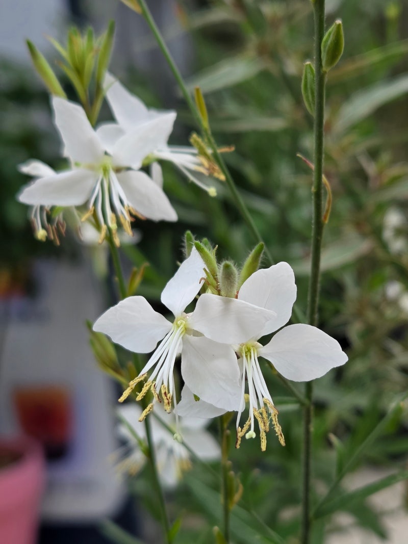 정책지식 2025.7.10. : 네이버 블로그