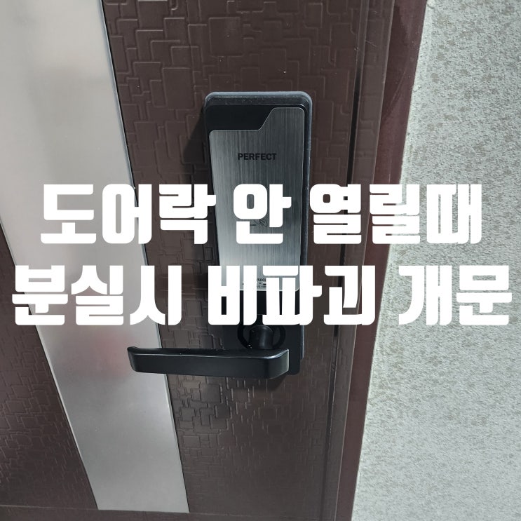  야당동열쇠 도어락 안 열릴 때 비밀번호 분실 시 당황하셨죠? 셀프 대처법