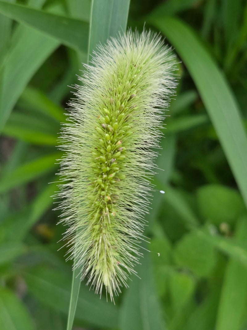 정책지식 2025.7.10. : 네이버 블로그