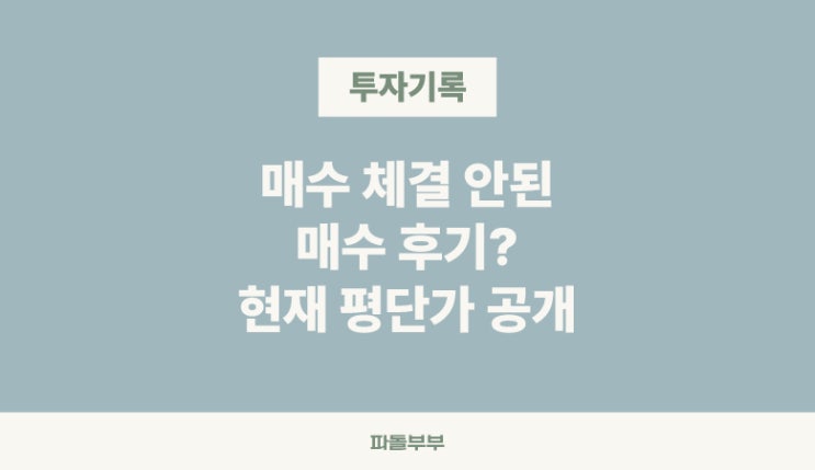  [분할매수 3] 매수 못한 후기? 아이렌 IREN 평단가 기록